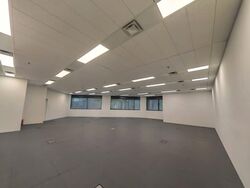 Robinson 77 (D1), Office #559769911